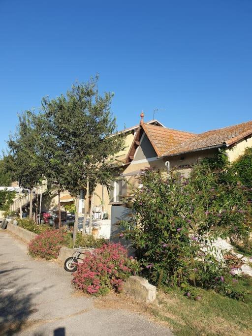 St Remy De Provence, La Maison Du Berger Saint-Andiol エクステリア 写真