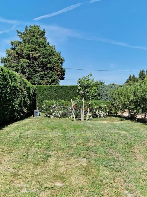 St Remy De Provence, La Maison Du Berger Saint-Andiol エクステリア 写真