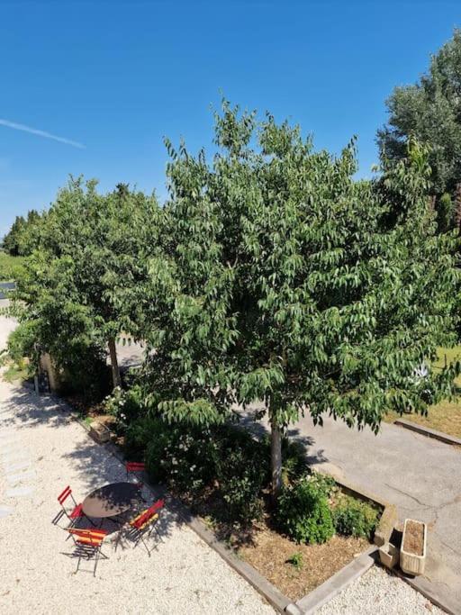 St Remy De Provence, La Maison Du Berger Saint-Andiol エクステリア 写真